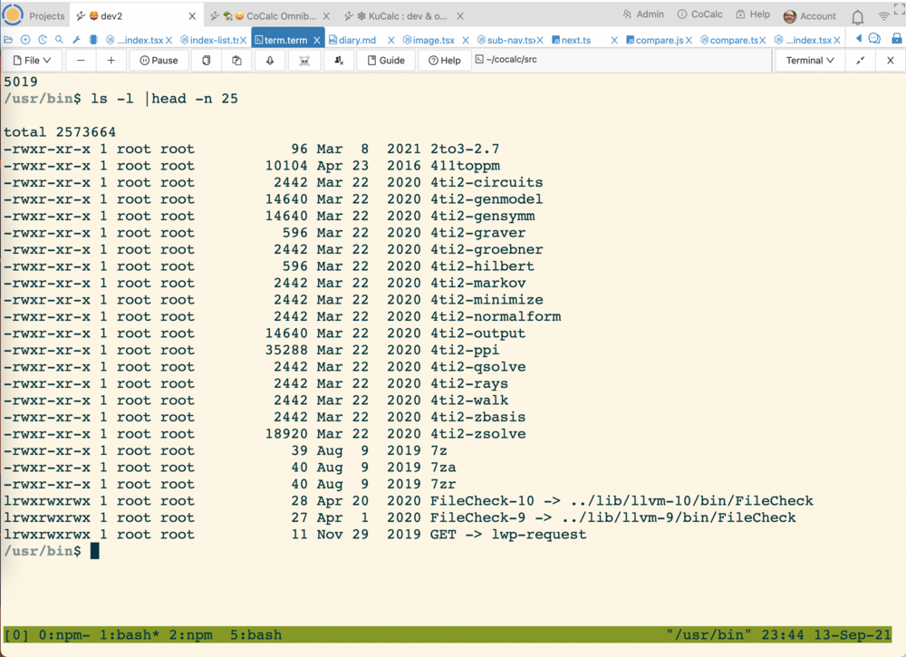 Screenshot illustrating Executables